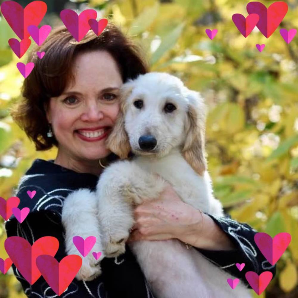 Meet your Posher, Meg